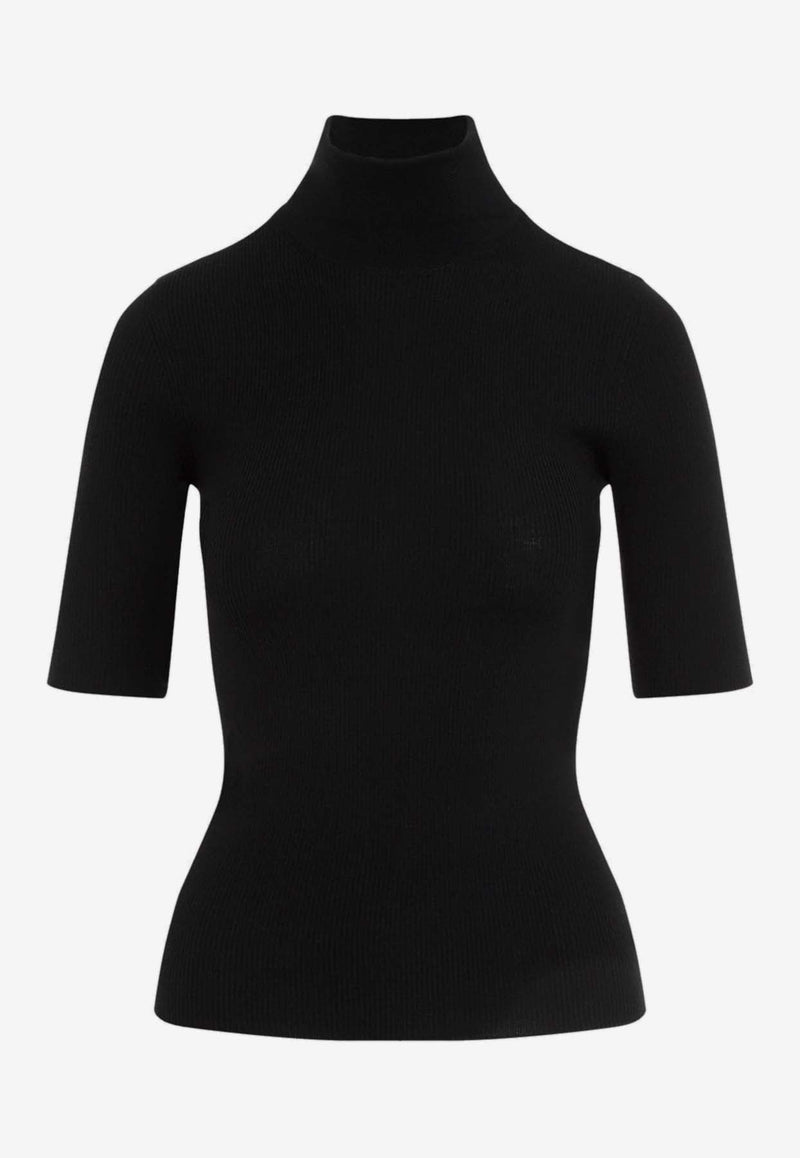 Leenda Turtleneck Knit Top