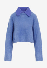 Mohair Blend Polo Sweater