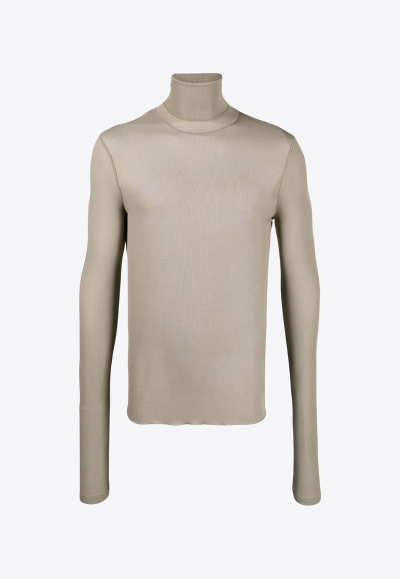 Semi Sheer Turtleneck Sweater