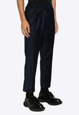 Pinstripe Wool Tapered Pants