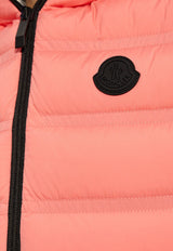 Aliterse Logo Patch Down Vest