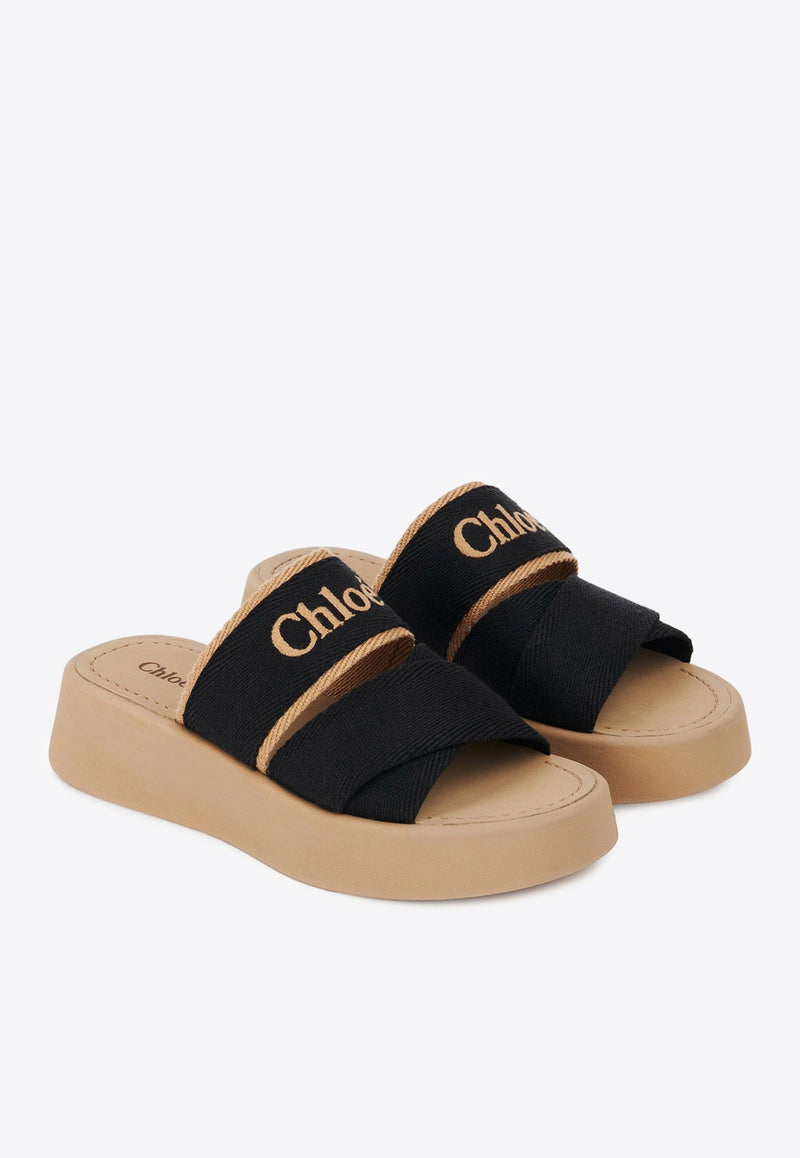 Mila Logo Flatform Slides