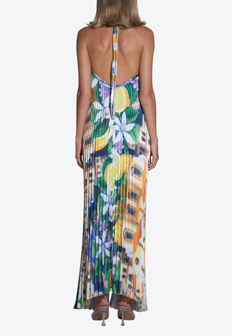 Deese Halterneck Floral Plisse Maxi Dress