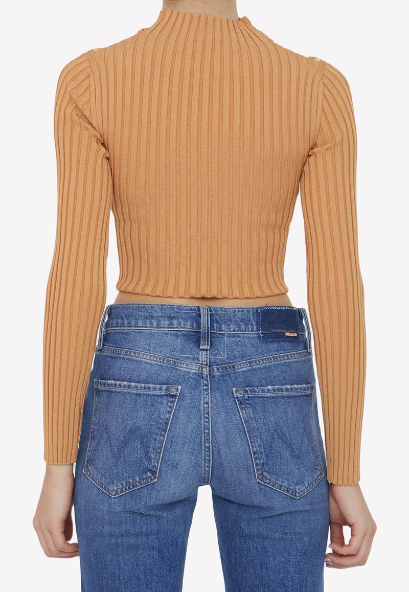 Long-Sleeved Cropped Top