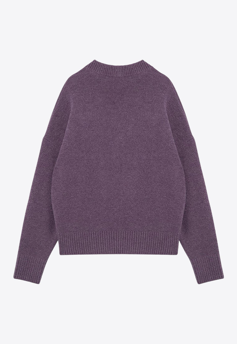 Ami De Coeur Intarsia Knit Turtleneck Sweater