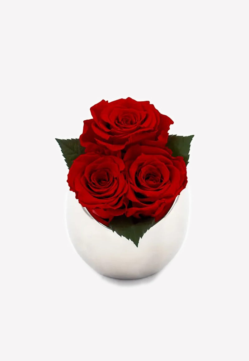 Infinite Rose Fortune